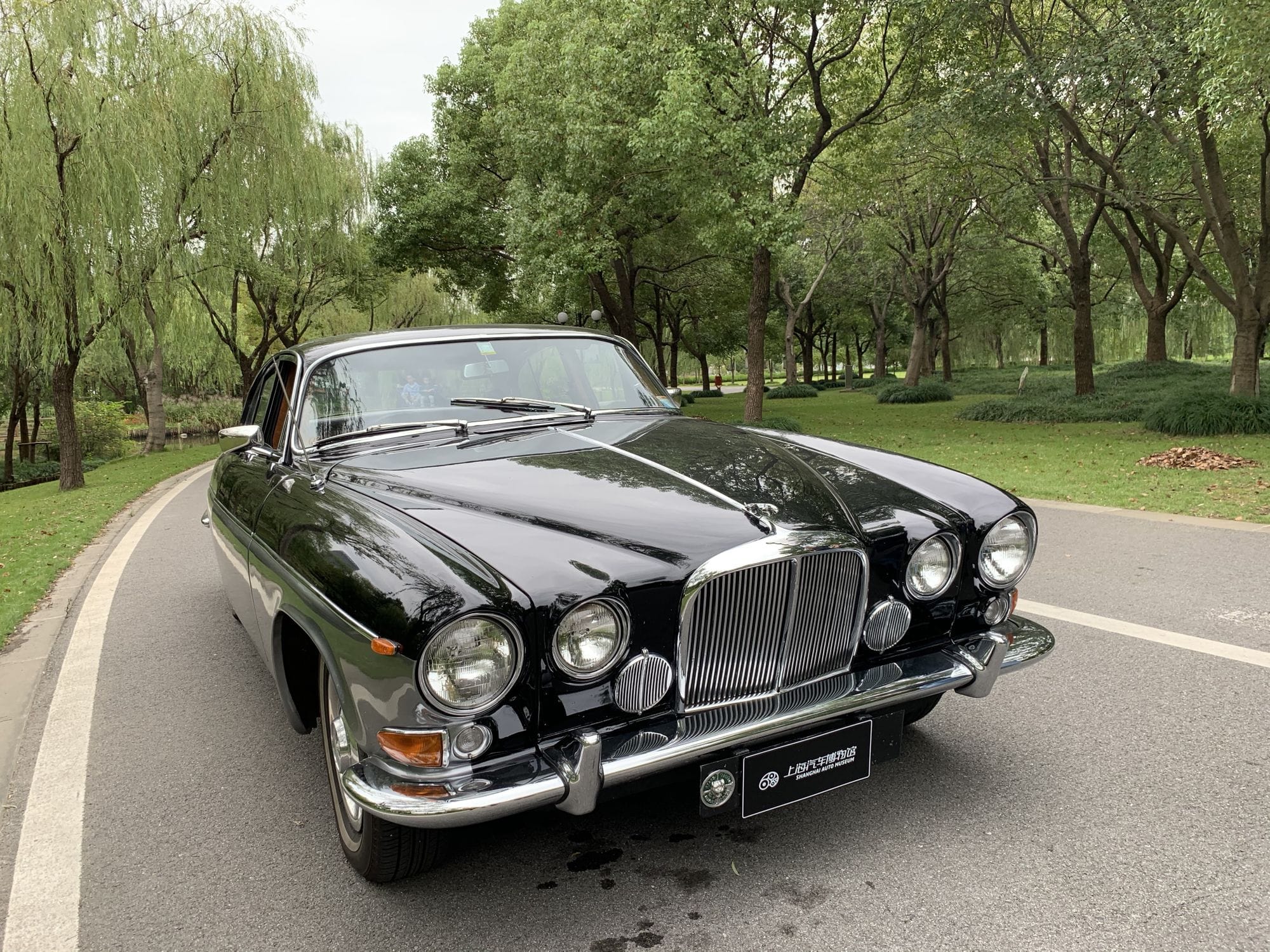 小笼包坐上老爷车，到底是什么表情？