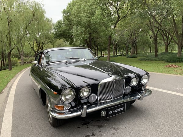 小笼包坐上老爷车，到底是什么表情？